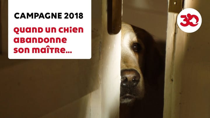 Préparez vos mouchoirs