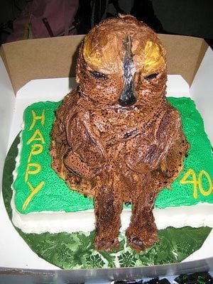kayebchewie