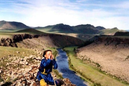 le_chien_jaune_de_mongolie_2